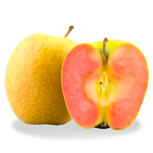 Golden Delicious Apple Review - Apple Rankings by The Appleist Brian Frange